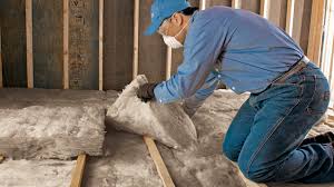 Best Insulation for New Construction  in Mount Pleasant, IA